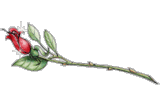 sticker_8810064_40094899