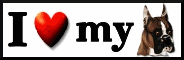 sticker_27118118_40976035