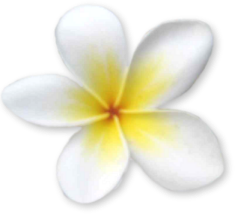 sticker_9147000_22071860