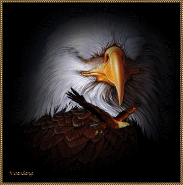 sticker_6767360_21192775