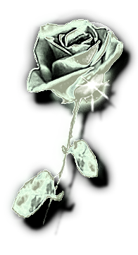 sticker_5370715_9991701