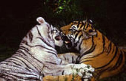 sticker_6671682_21124955