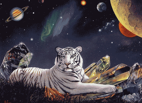 sticker_14158913_20187821