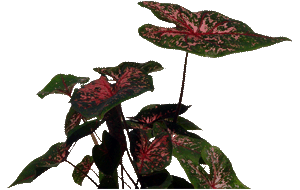 sticker_23663428_40613011