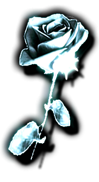 sticker_4320011_10037673
