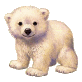 sticker_170381_289051