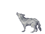 sticker_21907721_40269857