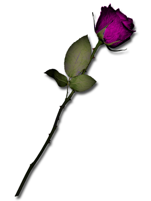 sticker_11338074_17382986