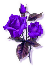 sticker_7468372_18519230