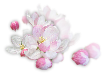 sticker_11914440_30583269