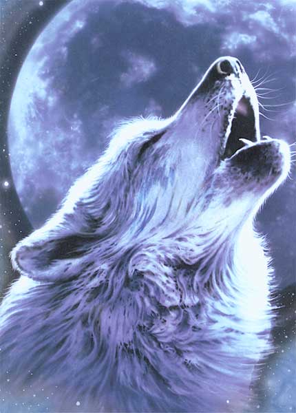 sticker_13134087_30522681