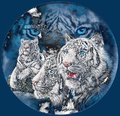 sticker_18661819_28074665