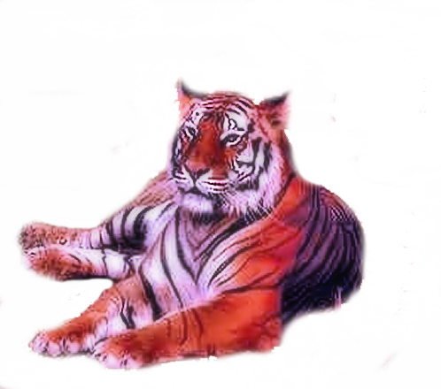 sticker_166449_1928667