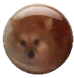 sticker_5581779_16698483