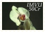 sticker_19895303_36946310
