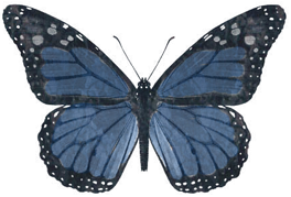 sticker_4730148_30900849