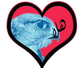 sticker_20607735_39021516
