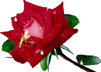 sticker_15799972_30775468