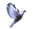 sticker_6252376_11126699