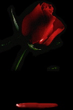 sticker_12344145_41156857