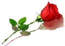 sticker_28068535_40223936