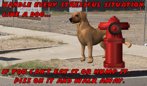 sticker_6023554_32314652