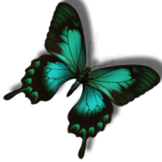 sticker_5764174_10223119