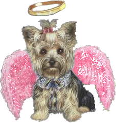 sticker_13699168_35690046