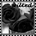 sticker_7598038_37594746