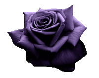 sticker_27531625_38991504