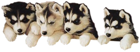 sticker_15802473_23068356