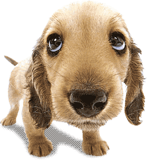 sticker_2960517_4769265