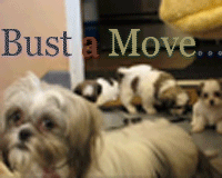 sticker_21907721_43099727