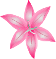 sticker_23883454_33841489