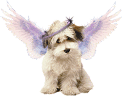 sticker_22130505_40342484
