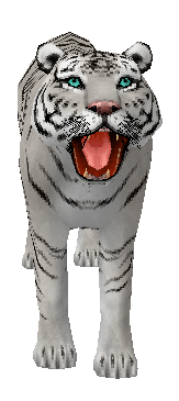 sticker_27524013_37655673
