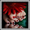 sticker_2461822_37697227