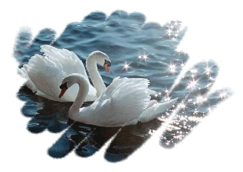 sticker_11107777_15220796