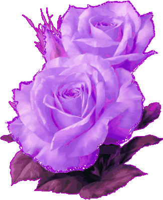 sticker_21714274_35728560
