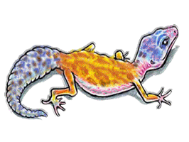 sticker_8026407_12275407