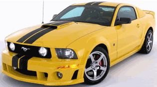 sticker_9728165_15164397