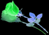sticker_1290235_6264343