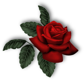sticker_7849362_46224973