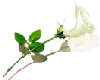 sticker_19739027_37198007