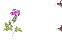 sticker_22587919_31440231