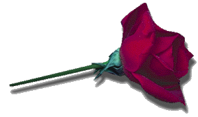 sticker_5580232_6745795