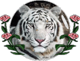 sticker_21887489_34441120