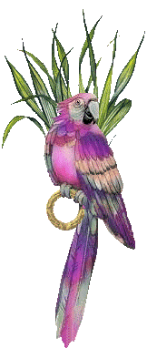 sticker_14915318_28650529