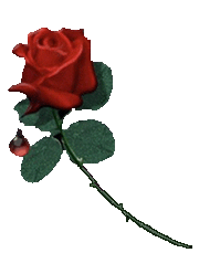 sticker_10782918_23272771