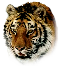 sticker_7482539_20872778
